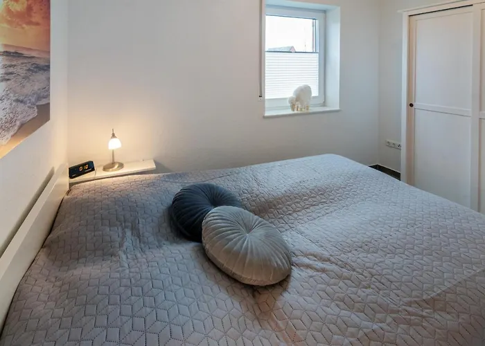 Backbord 多纳莫塞尔